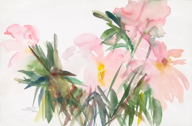 Peonie