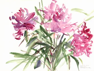Peonie, 2004