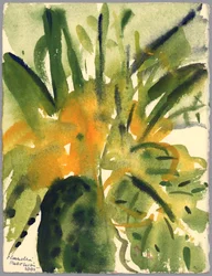 Primule, 2005