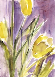 Tulipani, 1987