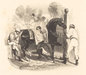 Cavallo prima della corsa