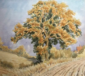Tramonto del raccolto, North Denford