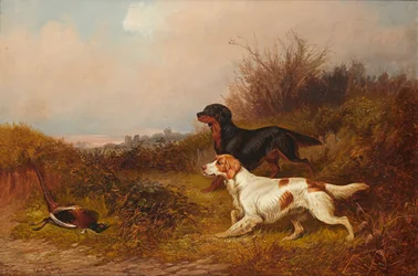 Retriever al lavoro