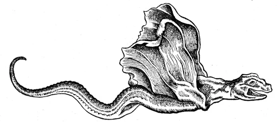 Un basilisco