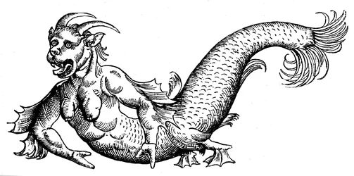 Diavolo dei mari