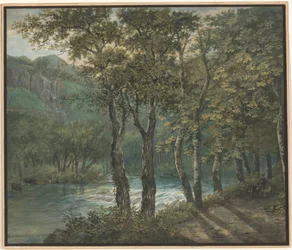 Luce solare filtrata attraverso gli alberi lungo il fiume Sihl