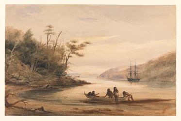 Ritratto Cove, Canale di Beagle