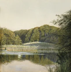 Cigni sul laghetto di Paddington, 1860s