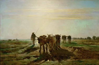 Boeufs se rendant au travail - bestiame che va al lavoro, mattina. 1855 ...