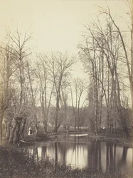 Stagno e moglie del contadino, c. 1865