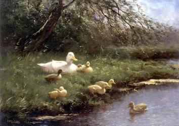 Una famiglia di anatre vicino a un fiume