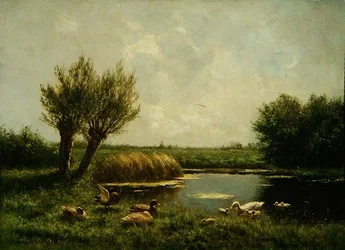 Stagno delle anatre