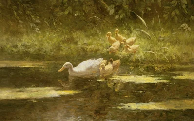 Anatra con anatroccoli sulla riva del fiume