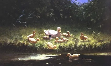 Anatroccoli al bordo del fiume