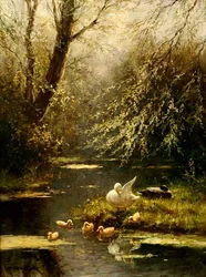 Anatre in un paesaggio