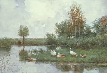 Anatre in un Paesaggio Fluviale