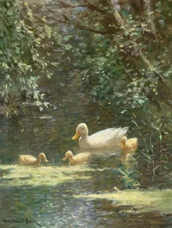 Mamma anatra con anatroccoli nell