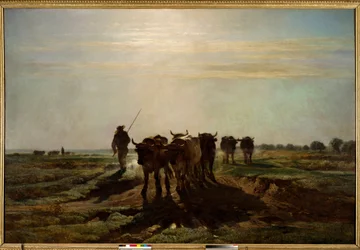 I buoi che vanno all