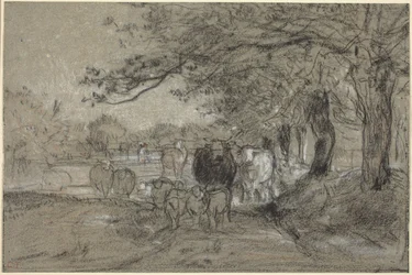 Mucche e pecore sotto gli alberi