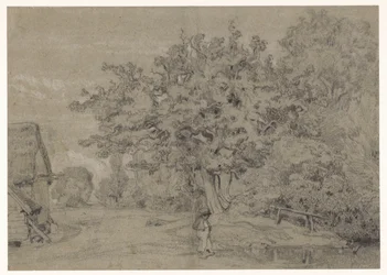 Vecchio albero vicino a una fattoria