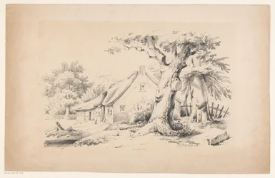 Fattoria e due alberi (Il paesaggio)