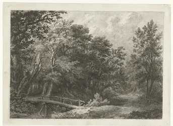 Veduta del bosco con ponte di legno