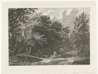 Paesaggio boschivo con ponte di legno