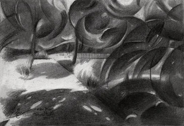 Luce screziata nella foresta