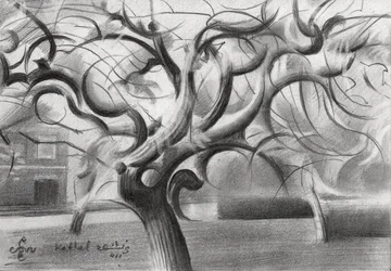 Albero invernale suggestivo