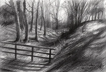 Schizzo di un sentiero nel bosco