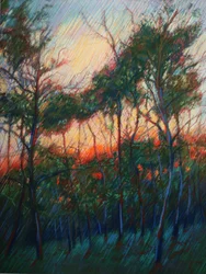 Il bagliore del tramonto nella foresta