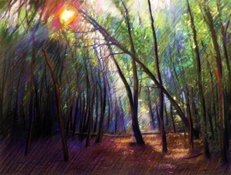 La luce del sole tra gli alberi