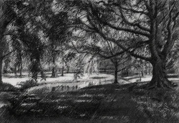 Sentiero del parco illuminato dal sole