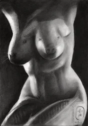 Forma femminile ibrida surreale