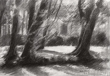 Sentiero tranquillo nel bosco
