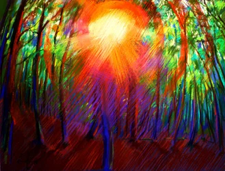 Luce vivace della foresta