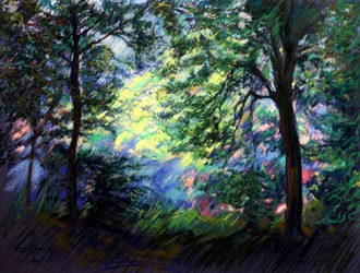 Luce vivace della foresta