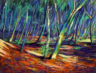 Sentiero nella foresta dai colori vivaci