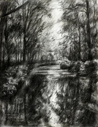 Sentiero tortuoso nel bosco