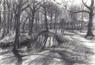 Ruscello invernale nel bosco