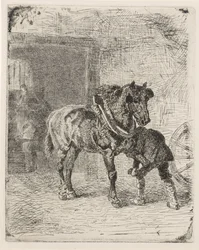 Cavallo ferrato in una fucina