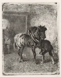 Cavallo che riceve ferri di cavallo in una fucina