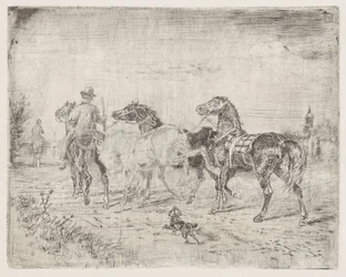 Cavalieri con cavalli