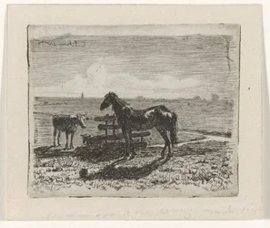 Prato con un cavallo e due mucche