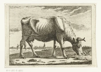 Paesaggio con mucca al pascolo (Mucche)