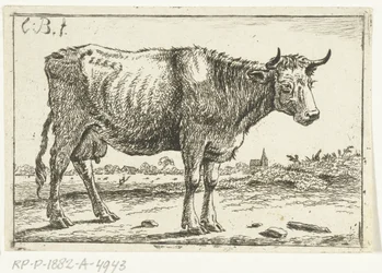 Paesaggio con mucca