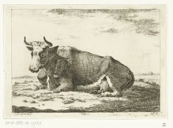 Paesaggio con mucca sdraiata con corna