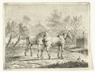 Paesaggio di pascolo con due cavalli vicino a un ponticello e una fattoria