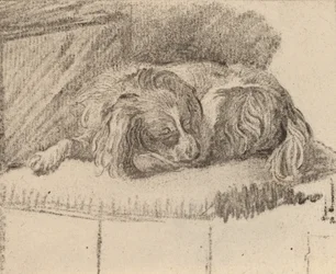 Cane sdraiato