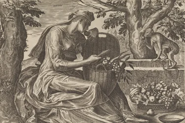 Gusto, da I Cinque Sensi, 1561